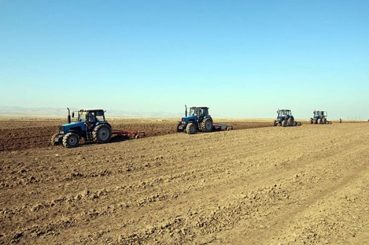 Şamaxının əkin sahələri üçün pul ayrıldı - SƏRƏNCAM