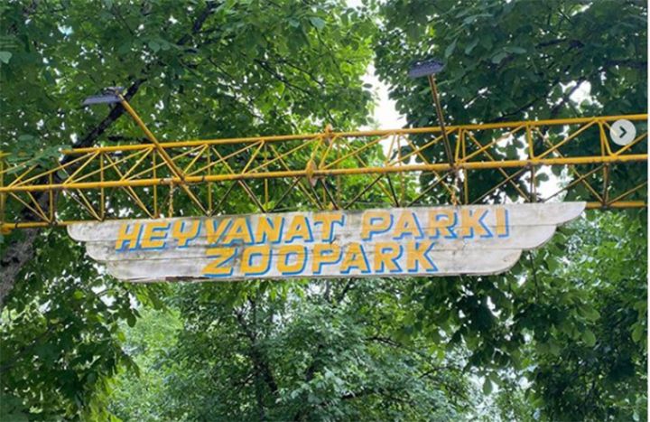 Heyvanları qəfəsdə saxlayan restoran sahibi cəzalandırılıb