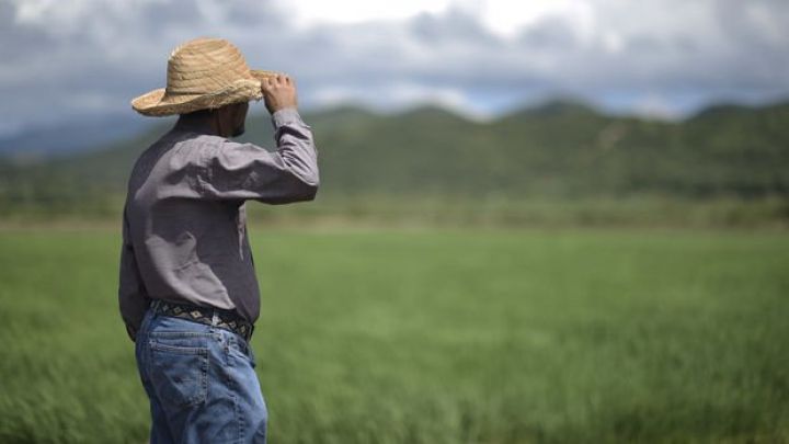 Qlobal ərzaq qiymətləri son 6 ilin ən yüksək səviyyəsində