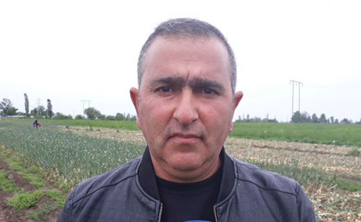 "Anbarlarda saxlamaq olmur, ixrac edilərsə fermerlər mənfəət götürərlər"