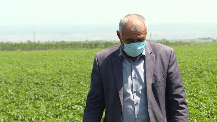 Azərbaycanda fermerlər üçün uçot sistemi yaradılır