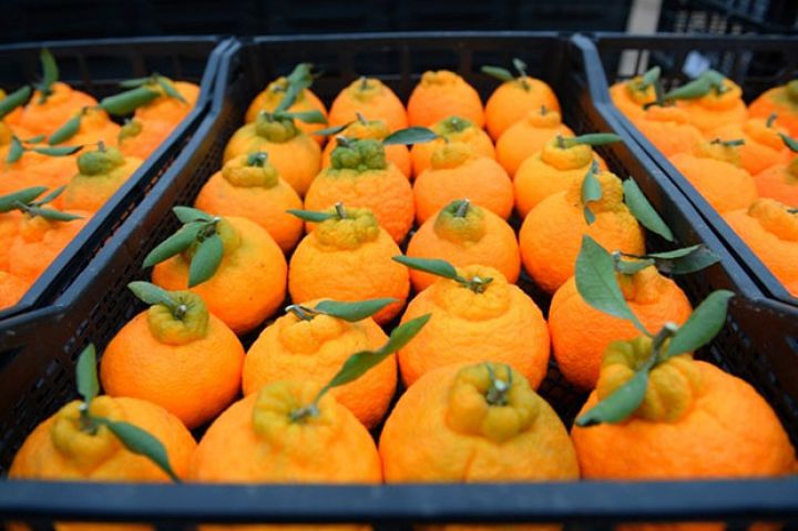 Azərbaycan üzərindən 200 milyon dollarlıq ixrac