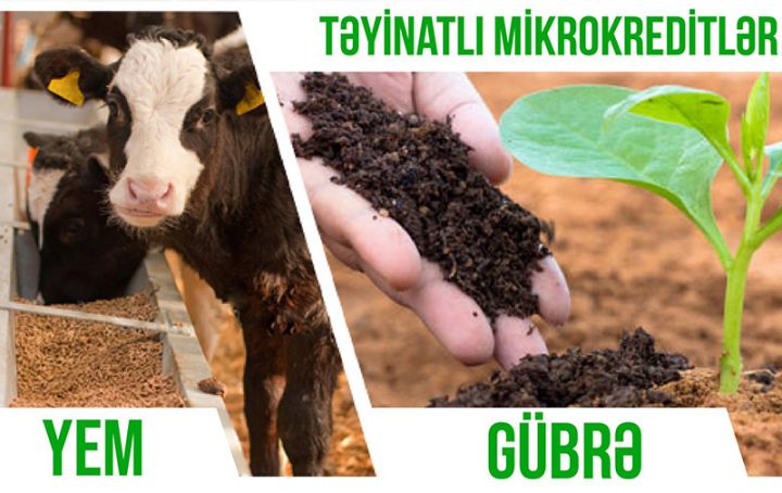 AKİA xətti ilə verilən aqrar kredit və güzəştlər açıqlandı