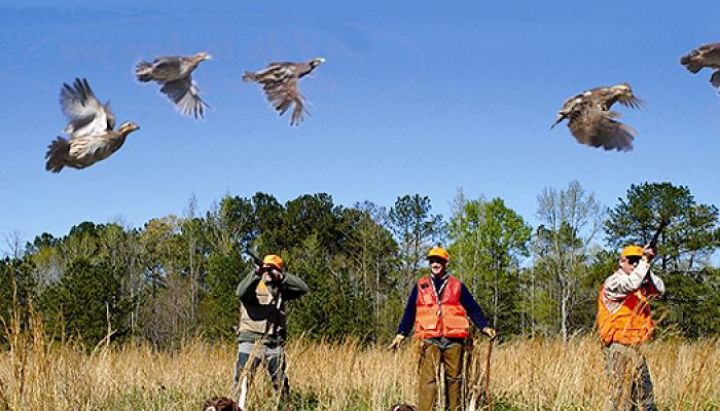 Azərbaycanda ov mövsümü açıldı