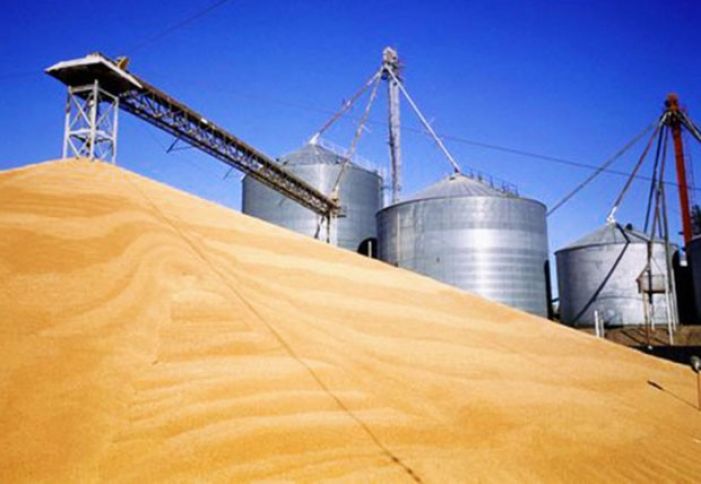 Regionlarda taxıl emalı üzrə 2 zavod inşa ediləcək