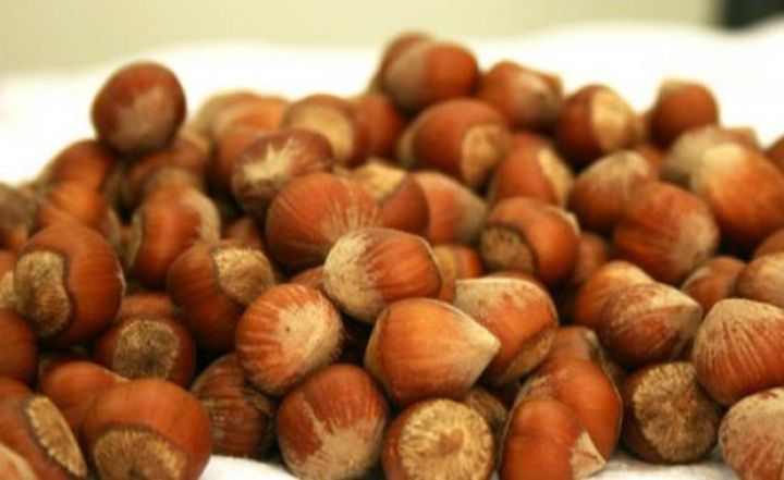 Bu rayon fındıq ixracından 100 milyon manatdan çox gəlir əldə edib