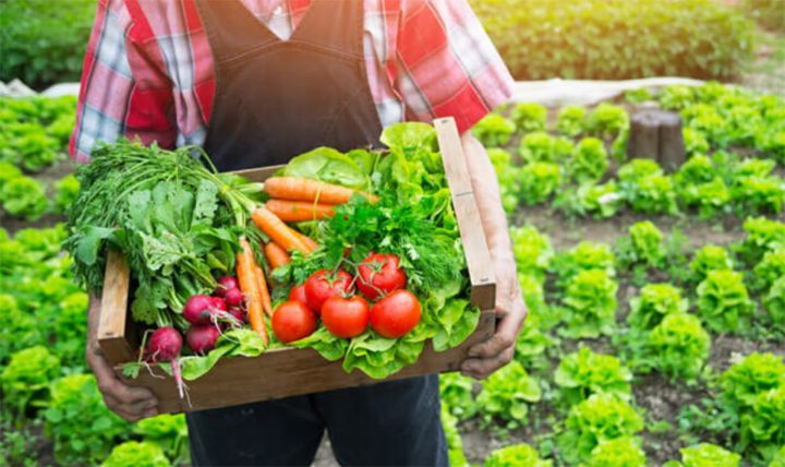 4 milyon manat kapital ilə "Azorganik" adlı kooperativ yaradılıb