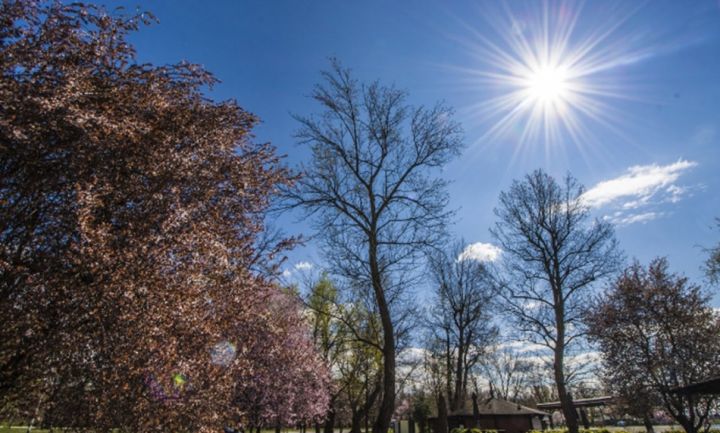 Sabahın hava proqnozu