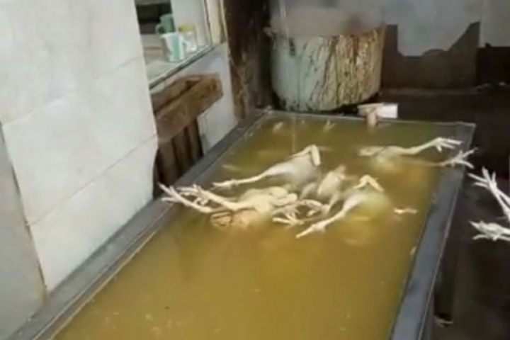 Toyuq cəmdəklərini boyayıb “kənd çolpası” adı ilə satıblar