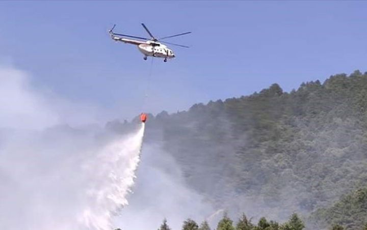 Azərbaycanın cənub meşələri yanır - Lənkərandada yanğınının söndürülməsinə helikopter cəlb olundu