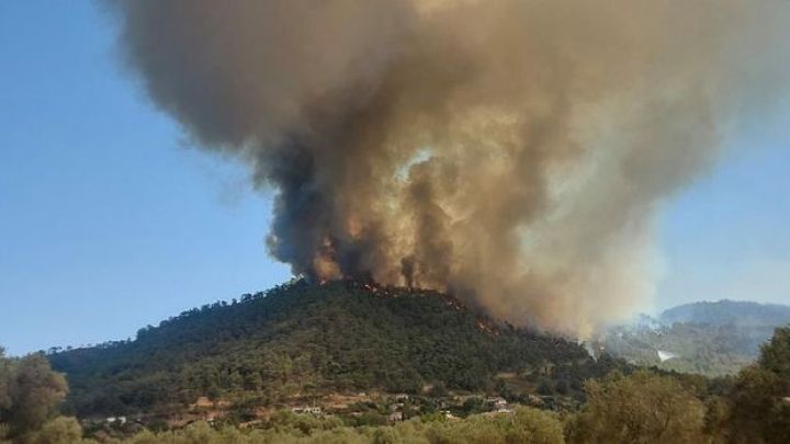 Yardımlıda meşədə yanğının söndürülməsinə helikopter cəlb olundu