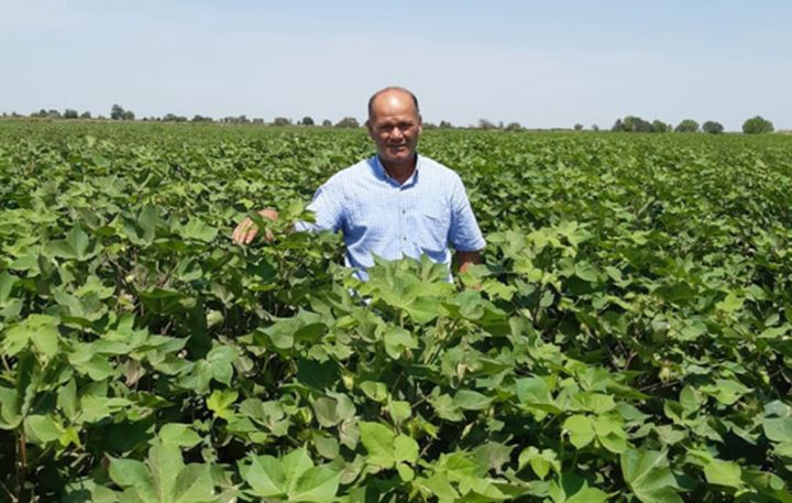 Peşəsini dəyişməsinə peşman deyil