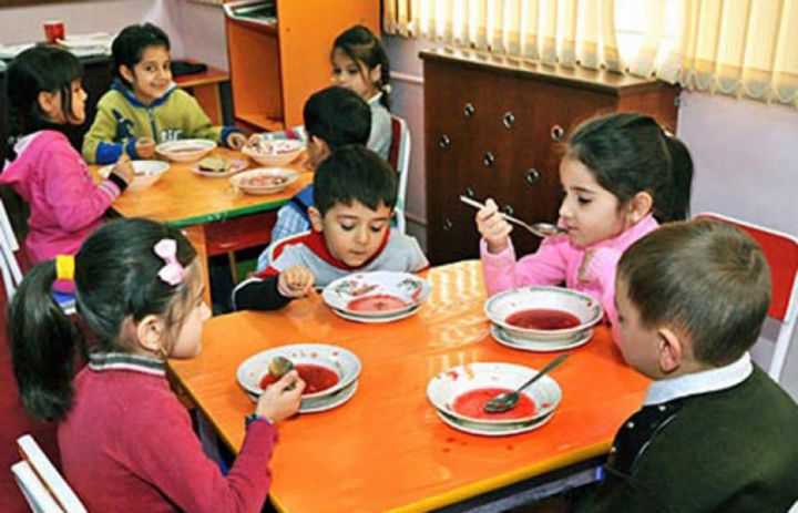 205 bağçada 1236 nöqsan aşkar edilib