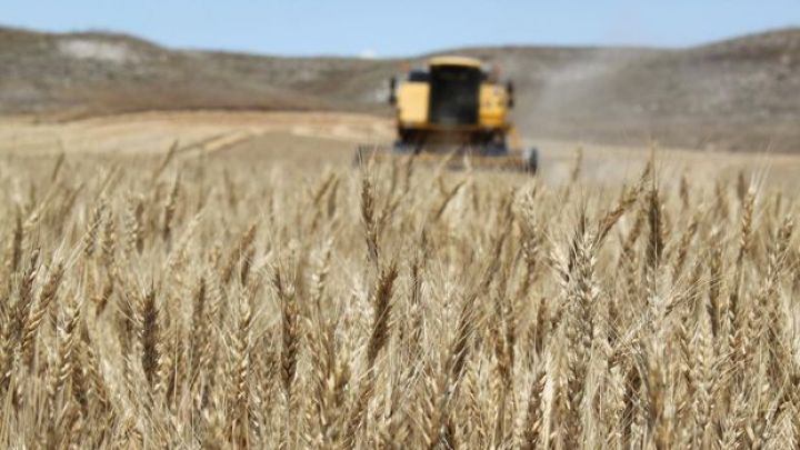 Payızlıq taxıl sahələrini sığortalamaq neçəyədir? – YENİ MƏBLƏĞLƏR