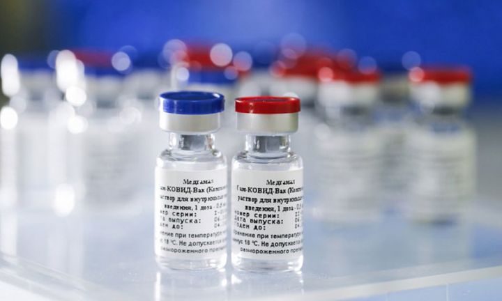 Azərbaycan Rusiya peyvəndinə icazə verdi