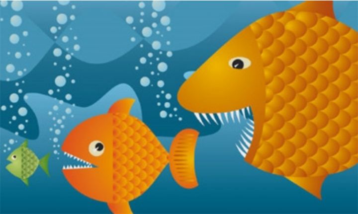 Antiinhisar hamını bir arşın ilə ölçməyəcək