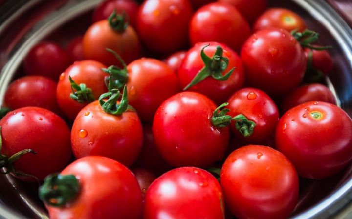 Daha 30 sahibkarın Rusiyaya pomidor ixracına icazə verildi