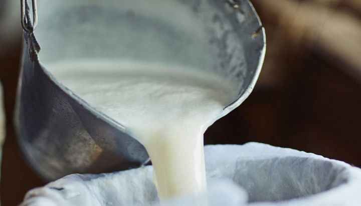 Azərbaycanda süd istehsalı cüzi artıb