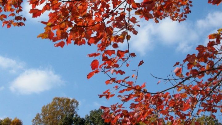 Oktyabrın 26-da gözlənilən hava şəraiti