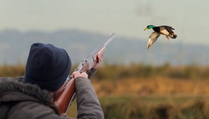 Sabahdan Azərbaycanda ov mövsümü açılır