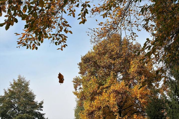 Sabah Bakıda yağış yağacağı, rayonlarında bəzi yerlərdə leysan olacağı gözlənilir