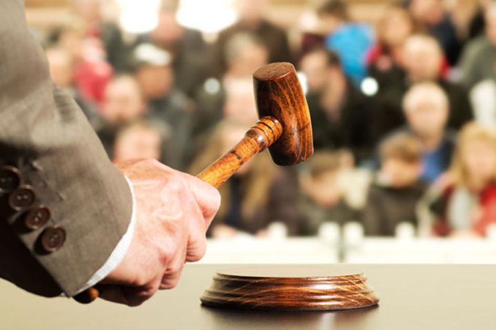 Dövlət broyler müəssisəsini hərraca çıxarır