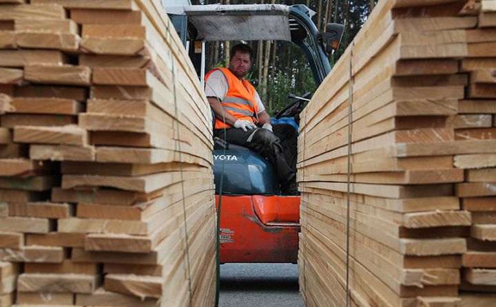 Rusiyada taxta sürətlə bahalaşır - İXRACI MƏHDUDLAŞDIRILA BİLƏR