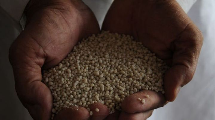 Rusiya gübrə ixracını dayandırdı