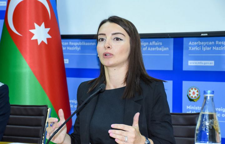 Azərbaycan Türkiyəli millət vəkilinin  “qarışıq və qaranlıq əlaqələr” ittihamına cavab verdi