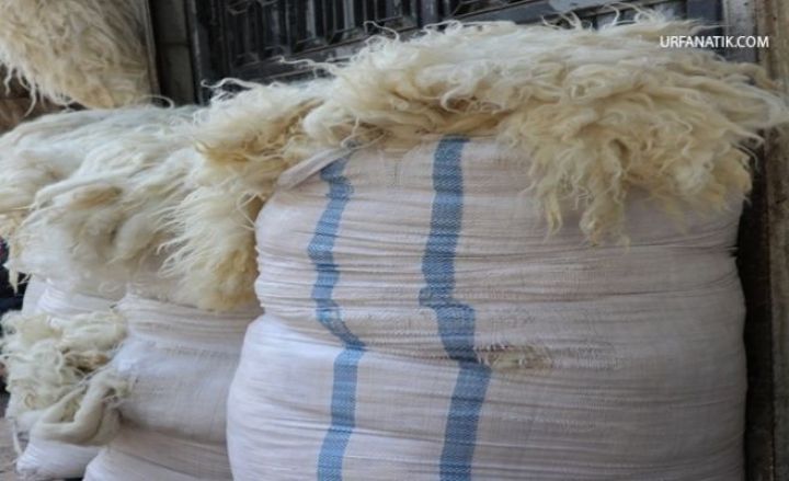 Azərbaycandan Avropaya qoyun yununun ixracı ilə bağlı ilkin razılıq əldə olunub
