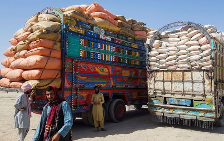 “Taliban” Avropaya ilk dəfə mal ixrac edir