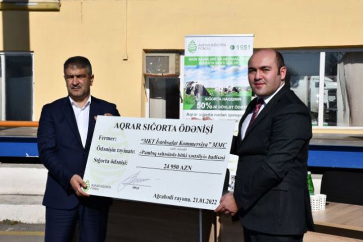 Azərbaycanda pambıq sahəsi üzrə - İLK AQRAR SIĞORTA ÖDƏNİŞİ EDİLİB