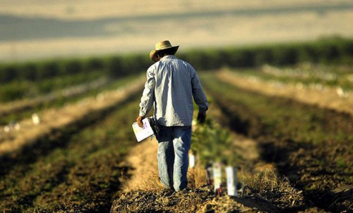 Fermerlərə torpağın çıxarışı əsasında subsidiya ödənilməsi üçün daha 2 il möhlət verilib