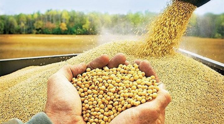 "Azərbaycana GMO yemlərin gətirilməsi qadağan edilməlidir"