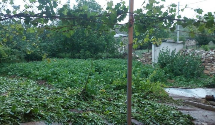 Meliorasiya və Su Təsərrüfatı ASC-nin rəhbər heyəti Goranboya ezam olunub