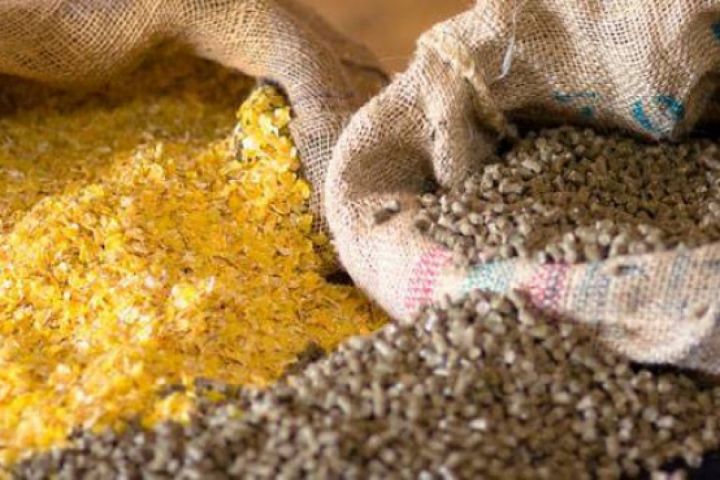 Azərbaycana gətirilən heyvan yemləri gömrük rüsumundan azad olundu