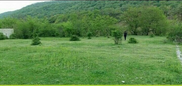 Bankın 1,2 hektarlıq torpaq sahəsi hərraca çıxarılır