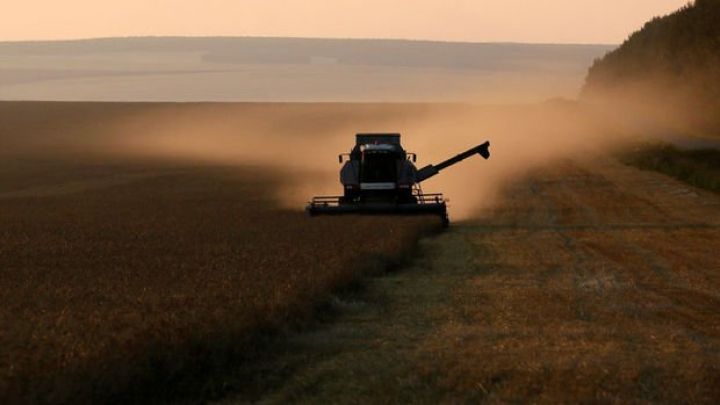 Qlobal ərzaq təchizatında yeni risk