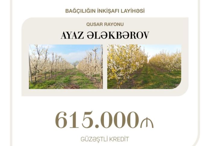 Sahibkar Ayaz Ələkbərov  bağçılığın inkişafı layihəsi üzrə güzəştli kredit əldə edib