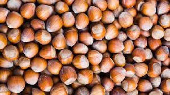 Türkiyədə fındıq alışı qiymətləri açıqlanıb