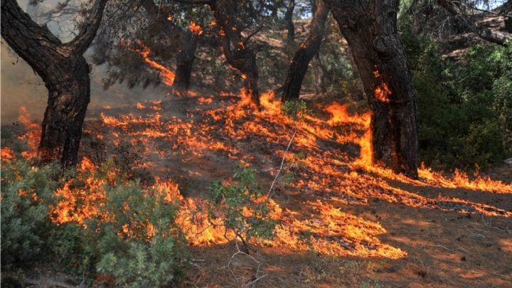 Şamaxıda dağlıq ərazi yanır