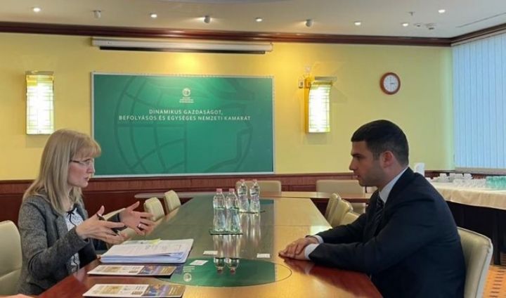 KOBİA Macarıstanda bir sıra görüşlər keçirib