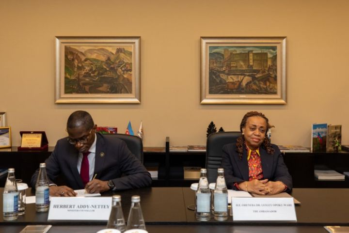 Dövlət şirkətinin sədri:  "Afrika qitəsi də maraq dairəsindədir"