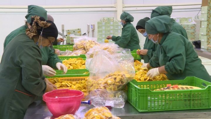 "Bu məhsulun “bazarı bağlanıb”