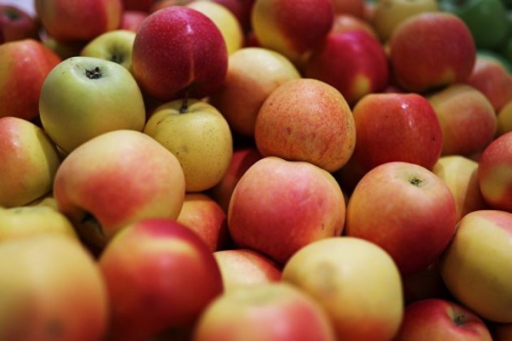 Ukrayna Polşa alma və pomidorlarına embarqo tətbiq edəcək