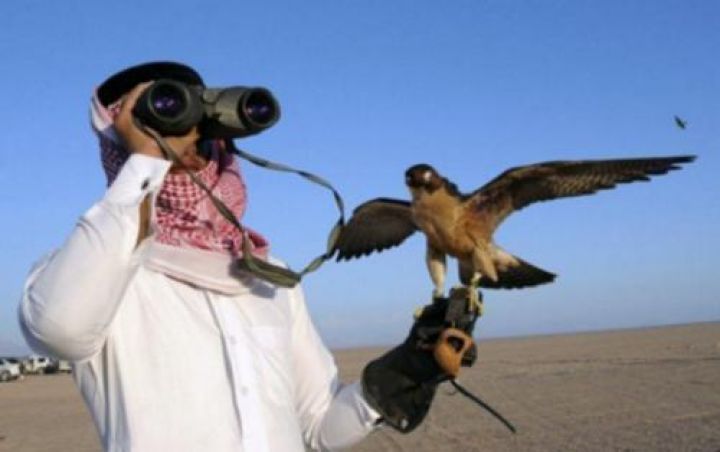 Azərbaycana ov üçün gələn ərəb turistlərin sayı azalıb
