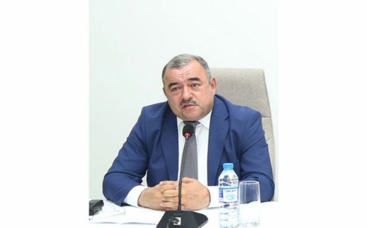 "Təyyarəni idarə edən sistemlər sıradan çıxarılıb" - AZAL-ın vitse-prezidenti