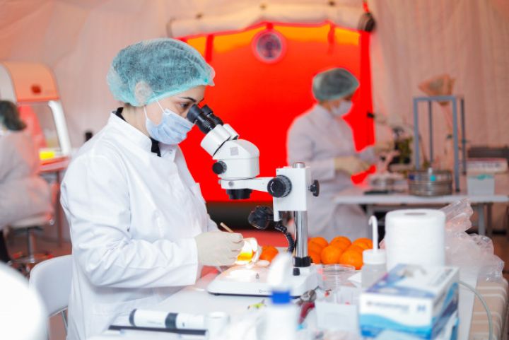 Azərbaycanda ilk dəfə olaraq Səyyar Fitosanitar Laboratoriya fəaliyyətə başlayıb