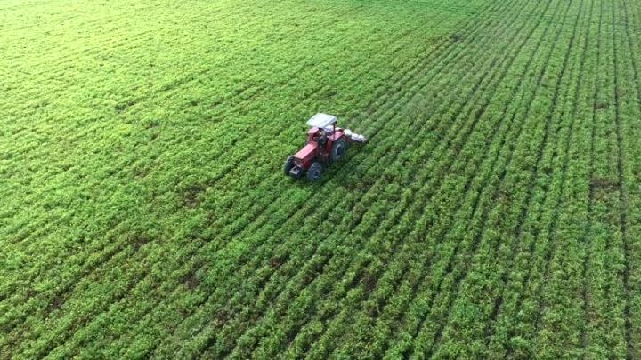 Qeydiyyata alınmış aqroparklar üzrə göstəricilər açıqlandı