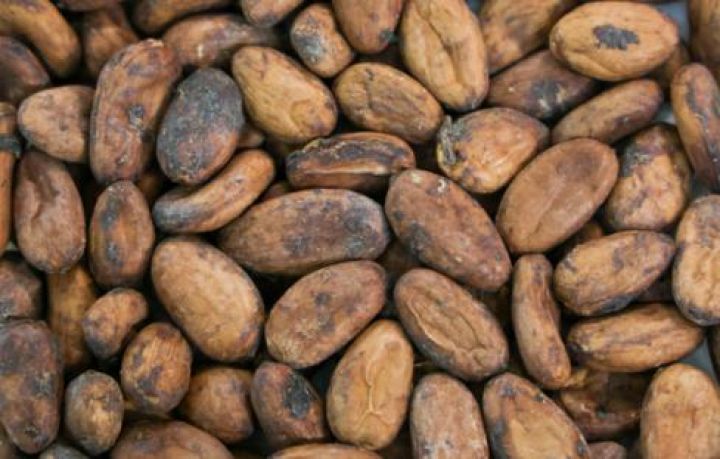 Kakaonun qiymətləri son aylarda ən aşağı səviyyəyə düşüb